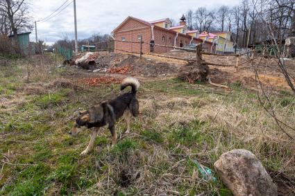 Московская область. Вид  на Музей-усадьба Дмитрия Менделеева `Боблово` Клинский район.