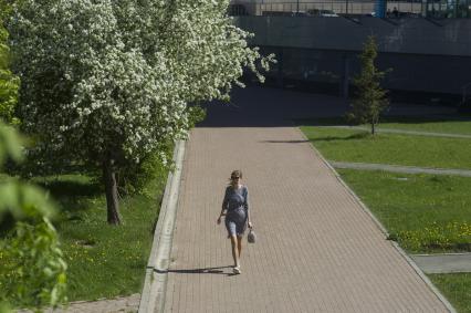 Екатеринбург. Горожане во время режима самоизоляции введеного для нераспространения новой коронавирусной инфекции COVID-19