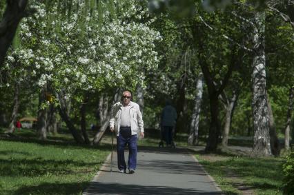 Екатеринбург. Пожилой мужчина гуляет в парке во время режима самоизоляции введеного для нераспространения новой коронавирусной инфекции COVID-19