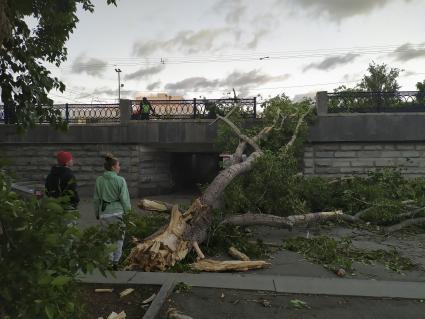 Екатеринбург. Дерево упавшее во время урагана перекрыло выход их подземного перехода