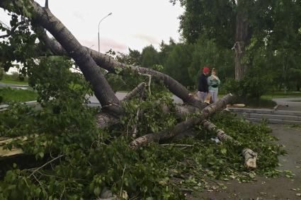 Екатеринбург. Дерево упавшее во время урагана перекрыло выход их подземного перехода