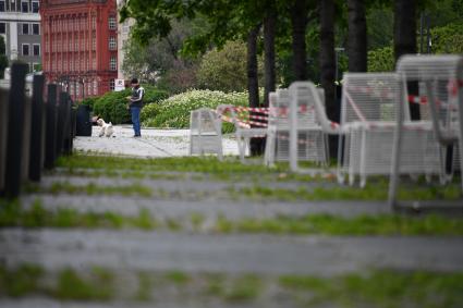 Москва.  Мужчина  гуляет с собакой.