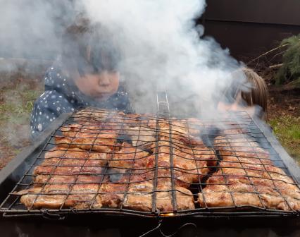 Московская область, деревня Вялки. Мясо зажаренное на решетке.