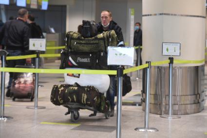 Москва.  Пассажиры в терминале аэропорта Домодедово имени  Ломоносова во время пандемии коронавируса COVID-19.