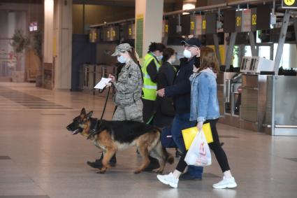 Москва.  Пассажиры в терминале аэропорта Домодедово имени  Ломоносова во время пандемии коронавируса COVID-19.