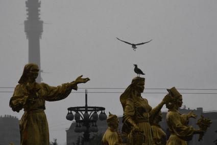 Москва.  Скульптуры фонтана `Дружба народов`.