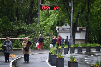 Москва.  Посетители в парке  `Сокольники`.