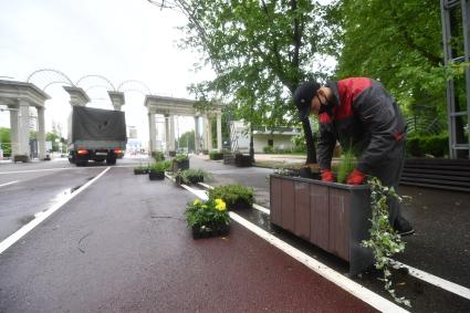 Москва. Сотрудники коммунальных служб высаживают рассаду в парке `Сокольники`.