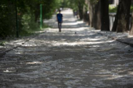 Екатеринбург. Мужчина в парке, дорожка которого покрыта тополиным пухом