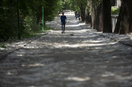 Екатеринбург. Мужчина в парке, дорожка которого покрыта тополиным пухом