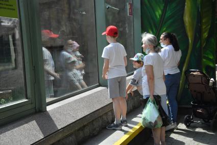 Москва. Жители города в Московском зоопарке, открывшемся  после ослабления ограничений, введенных из-за пандемии коронавируса.