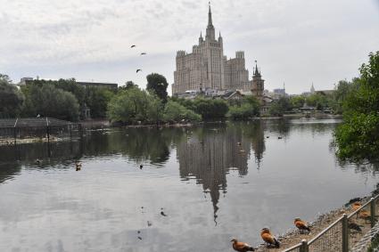 Москва. Вольер с птицами в Московском зоопарке, открывшимся после ослабления ограничений, введенных из-за пандемии коронавируса.