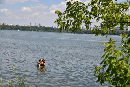 Москва. Отдыхающие купаются  в Москве реке в районе Строгино.