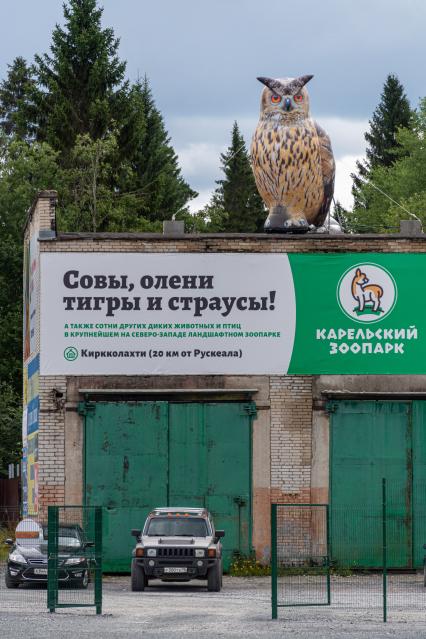 Карелия, Сортавала. Карельский зоопарк на территории горного парка `Рускеала`.