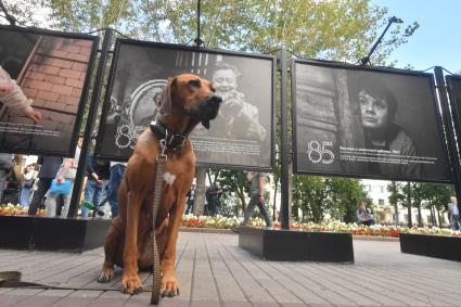 Москва.  На открытии фотовыставки, посвященной 85-летию Олега Табакова на Чистопрудном бульваре .