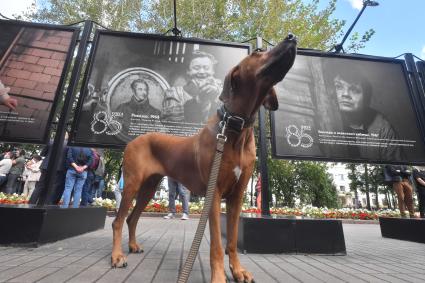 Москва.  На открытии фотовыставки, посвященной 85-летию Олега Табакова на Чистопрудном бульваре .