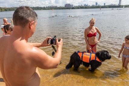 Москва. Мужчина фотографирует собаку породы ньюфаундленд на пляже.