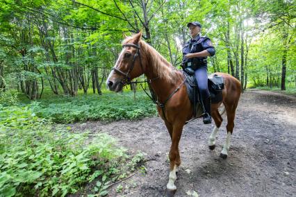 Москва. Сотрудник конной полиции на территории парка `Сокольники`.