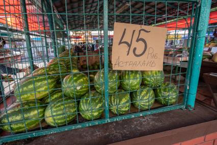 Москва. Уличная продажа арбузов.