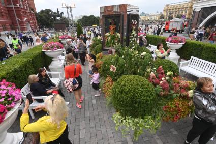 Москва.  Горожане   во время посещения арт-объекта `Тропа ботанического сада`, расположенного между Манежной площадью и площадью Революции, на праздничных гуляниях в День города.