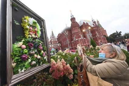 Москва.   Женщина фотографирует  время посещения арт-объекта `Тропа ботанического сада`, расположенного между Манежной площадью и площадью Революции, на праздничных гуляниях в День города.