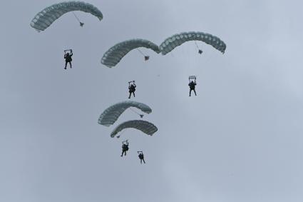 Московская область. Высадка парашютистов во время динамического показа возможностей подразделений воздушно-десантных войск на международном военно-техническом форуме `Армия-2020` на полигоне Алабино.