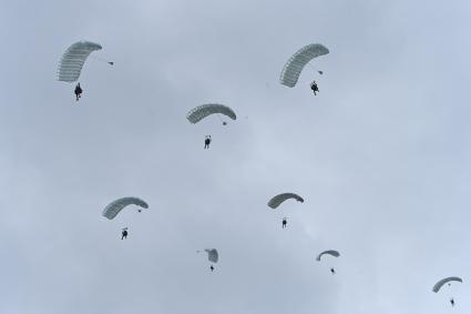 Московская область. Высадка парашютистов во время динамического показа возможностей подразделений воздушно-десантных войск на международном военно-техническом форуме `Армия-2020` на полигоне Алабино.