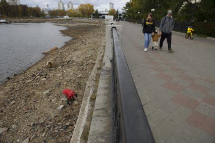 Екатеринбург. Волонтеры и добровольцы очищают от мусора берег городского пруда обмелевшего из-за строительства Макаровского моста