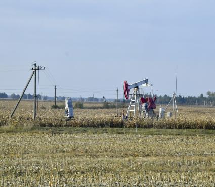 Беларусь, Гомельская область. Добыча нефти.