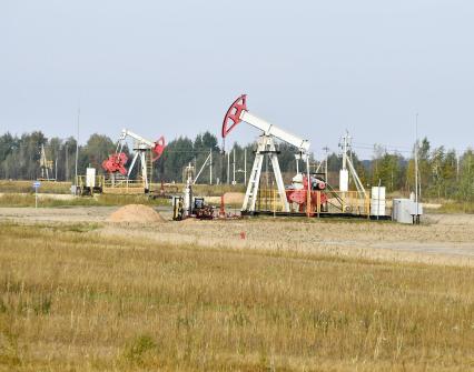 Беларусь, Гомельская область. Добыча нефти.