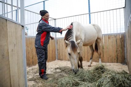 Минск. Женщина ухаживает за лошадью на XXX Международной сельскохозяйственной выставке `Белагро-2020` на Футбольном манеже.