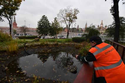 Москва. Осушение одного из прудов в парке `Зарядье` для вылова теплолюбивых карпов и отправки их на зимовку.