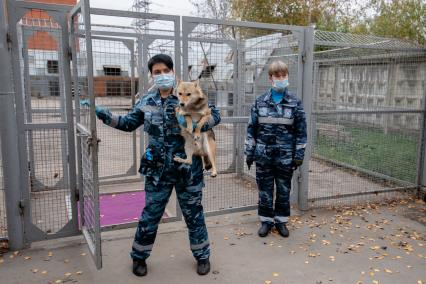 Москва.  Кинолог с одной из служебных собак породы шалайка (гибрид шакала и лайки) кинологического подразделения авиакомпании  Аэрофлот  в аэропорту Шереметьево.