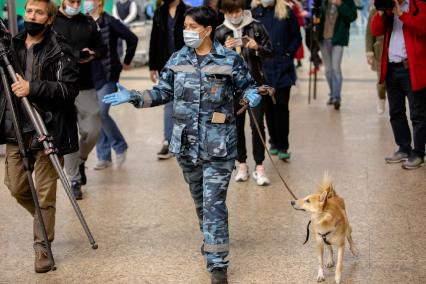 Москва, аэропорт Шереметьево. Сотрудница службы безопасности аэропорта со служебной собакой  породы шалайка (гибрид шакала и лайки) во время патрулирования аэропорта.