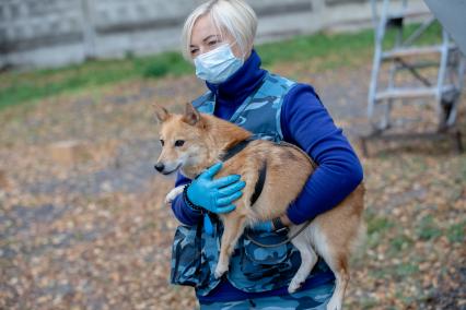 Москва.  Кинолог с одной из служебных собак породы шалайка (гибрид шакала и лайки) кинологического подразделения авиакомпании  Аэрофлот  в аэропорту Шереметьево.