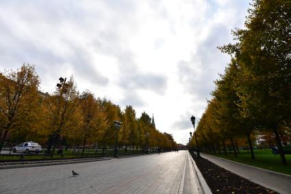 Москва.  Вид на Александровский сад.