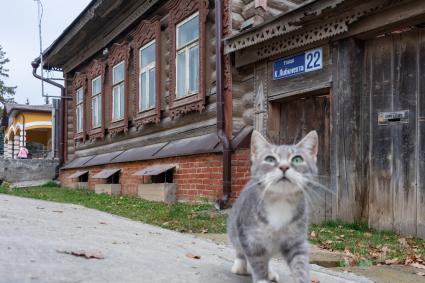 г.Таруса. Указатель на доме `Улица Либкнехта 22 `. 20 октября депутаты Городской Думы приняли решение о возвращении названий улиц исторической части города, существовавших до событий 1918 года.