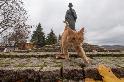 г.Таруса. Памятник поэтессе Марине Цветаевой и местный кот.