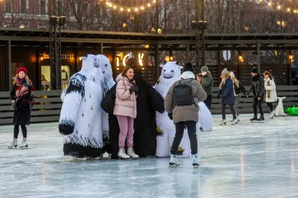 Санкт-Петербург.  Посетители катка на острове Новая Голландия.