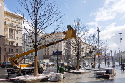 Москва.  Работники коммунальной службы обрезают ветки дерева на Тверской улице.