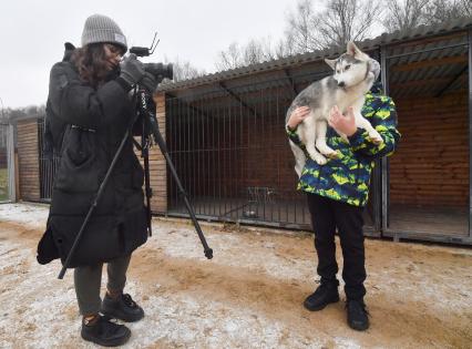 Москва. Девушка фотографирует собаку породы хаска  в `Центре комплексной реабилитации инвалидов `Бутово`.