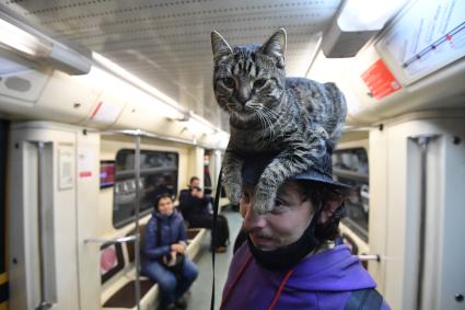 Москва. Мужчина с котом на голове в вагоне поезда метро.