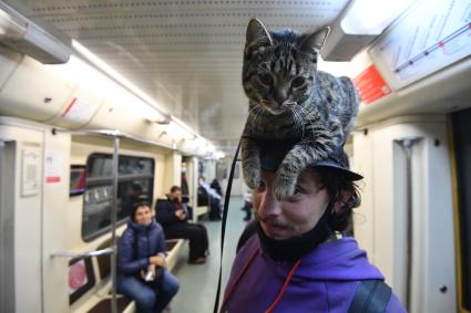 Москва. Мужчина с котом на голове в вагоне поезда метро.