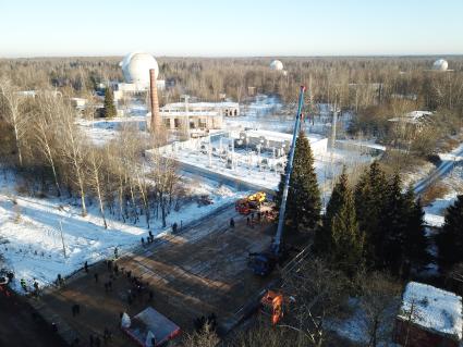 Московская область.  Рубка главной новогодней ели страны в Наро-Фоминском лесничестве.