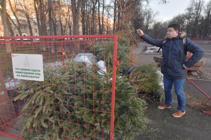 Москва. Корреспондент КП Павел Клоков сдает новогоднюю елку в пункт приема для дальнейшей переработки.