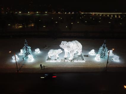 Москва.  Вид на новогоднюю иллюминацию `Полярные медведи`в парке у Ростокинского акведука.