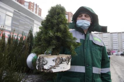 Екатеринбург. Елочный базар на одной из центральных улиц города