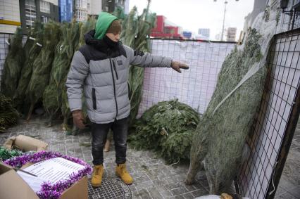 Екатеринбург. Елочный базар на одной из центральных улиц города