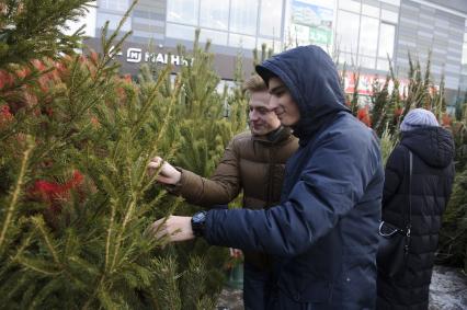 Екатеринбург. Елочный базар на одной из центральных улиц города