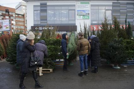 Екатеринбург. Елочный базар на одной из центральных улиц города